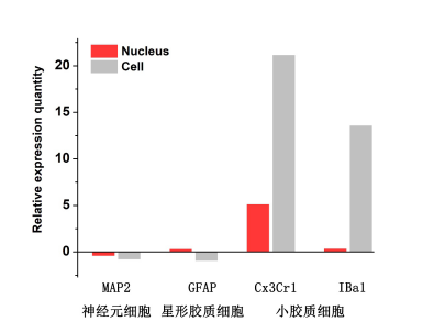 伯豪生物單細(xì)胞核轉(zhuǎn)錄組測(cè)序數(shù)據(jù)圖 5