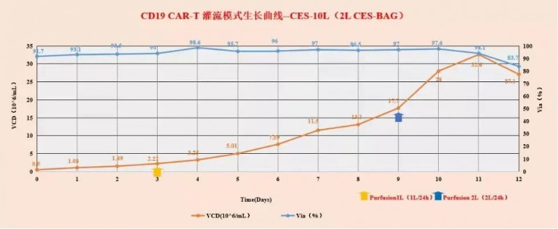T 細胞在 MCMCulLymT-SFM10 中規?；囵B