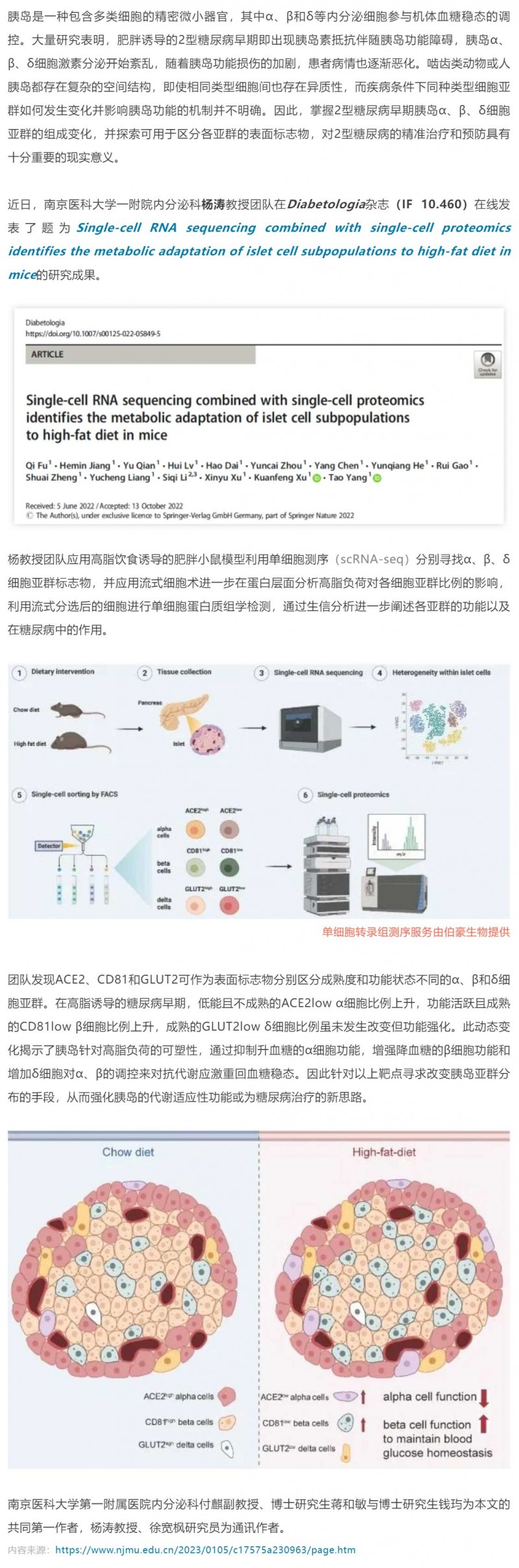 2023-02-01- 單細胞項目文章 -_- 楊濤團隊揭示高脂喂養(yǎng)小鼠胰島細胞亞群的特征