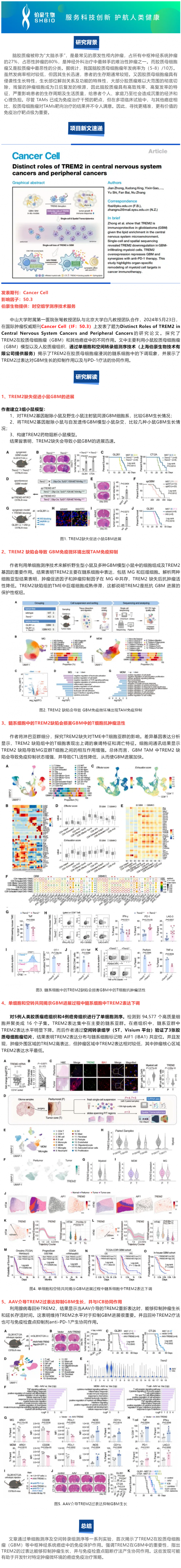 524 項目文章 |Cancer Cell-TREM2 在中樞神經(jīng)系統(tǒng)癌癥和外周腫瘤中的獨(dú)特作用